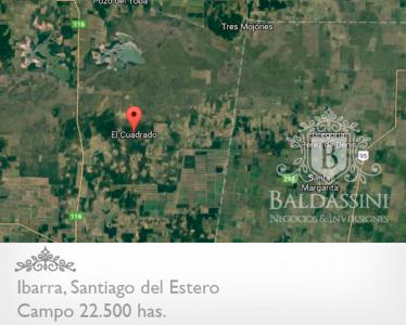 Campo Mixto 22.500 Has en Ibarra, Santiago del Estero