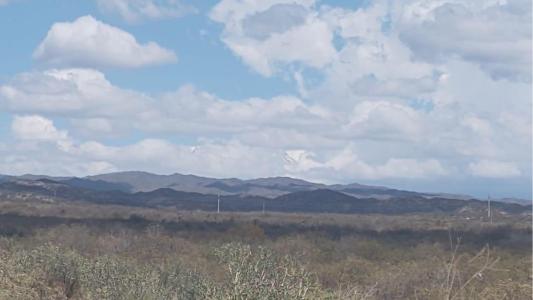 Venta. 350 hectáreas. Luján de Cuyo. Mendoza.