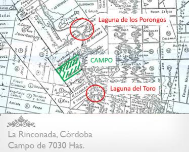 CAMPO DE 7030 HAS. EN LA RINCONADA - CÓRDOBA - CAMPO PARA ARMAR - OPORTUNIDAD!