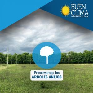 lotes disponibles en Urbanizacion Abierta Buen Clima , 250 mt2
