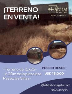 Terreno en venta en Paseo las Viñas- EXCELENTE UBICACIÓN, 250 mt2