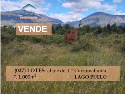 (027) Lotes de 1.000 mts ingreso alternativo Currumahuida