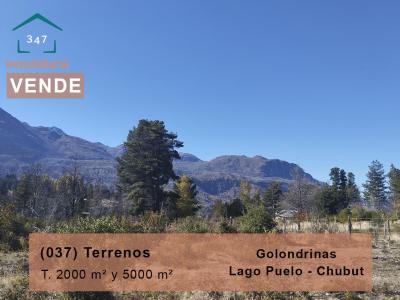 (037) Terrenos en condominio. 2000 m² y 5000m², Pje. Las Golondrinas, Lago Puelo