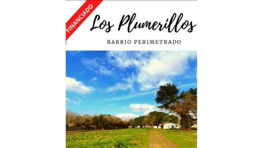 LOTEO LOS PLUMERILLOS / PREVENTA - OPORTUNIDAD