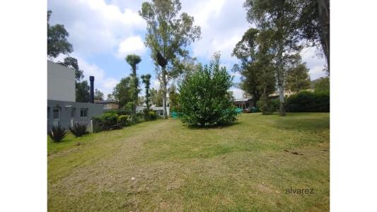 Terreno / Lote en venta de 500m2 ubicado en Francisco Álvare