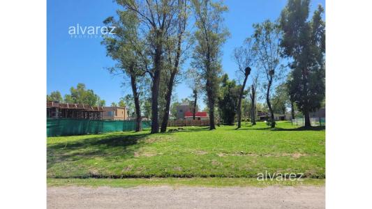 Lote en Alvarez Del Bosque