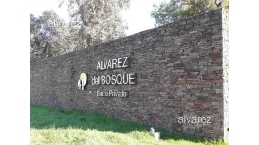 Lote Alvarez Del Bosque