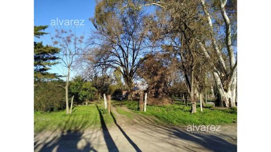 Terreno En Venta  Francisco Álvarez