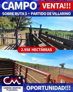 VENTA DE CAMPO en partido de Villarino, Provincia de Buenos Airea - APTO CRIA / RECREIA - Total 2958 Has