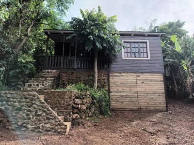 Casa de 3 ambientes sobre una hectárea en Santo Pipo, Misiones, 2 habitaciones