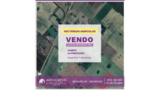 Vendo 7 hectareas agricolas en Erezcano