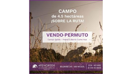 VENDO o PERMUTO CAMPO 4.5 Hectáreas sobre la Ruta - Campo Sa