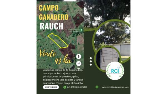 vendo campo zona el Gualicho Rauch 43ha mixtas, 90 mt2