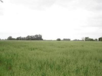 Propiedad rural de 6 hectáreas para uso