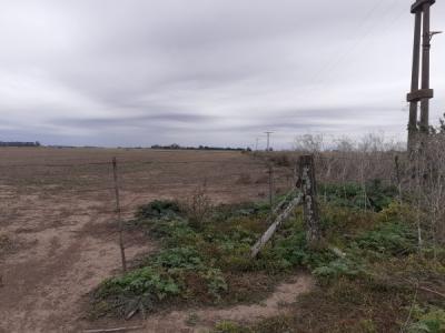 Campo Agrícola sobre Ruta 191- 7,5 Hectáreas - Pueblo Doyle, 32767 mt2