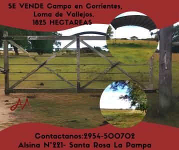 Campo en Corrientes Lomas de Vallejos , 32767 mt2