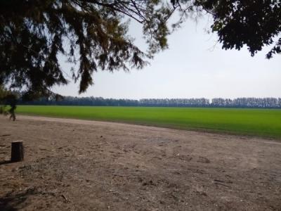 Campo agrícola 32 hectáreas con mejoras, 32767 mt2